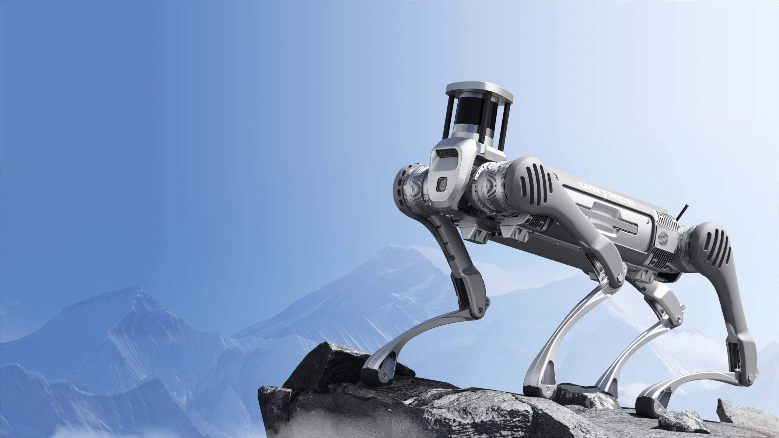 Unitree B2 quadruped robot performing industrial field demonstration