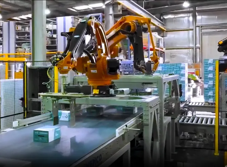 Industrial Robotics &Automation Solutions Expert | Ednex Automation