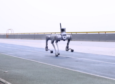 Unitree B2 quadruped robot with advanced mobility features