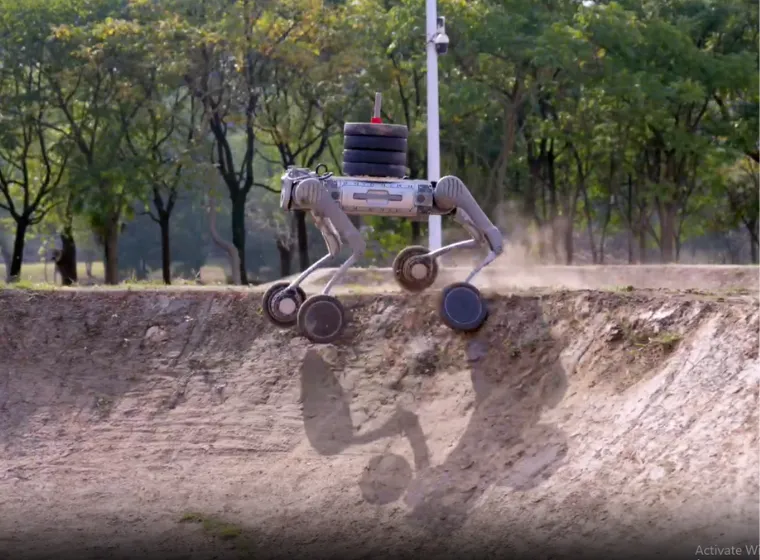 Unitree B2-W robot demonstrating high payload capacity